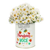 Margaridinha Branca Happy Birtday
