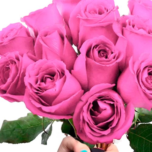 Buquê Fashion de 12 Rosas Lilás com lenço