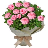 Vaso de Mini Rosa Cor de Rosa Plantada