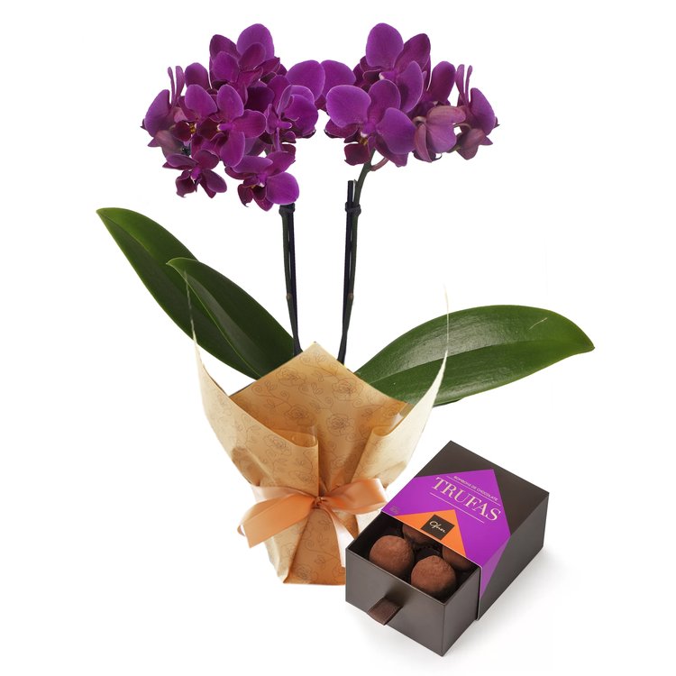 Mini Orquídea Rara lilás e Caixa Trufas Ofner 80g