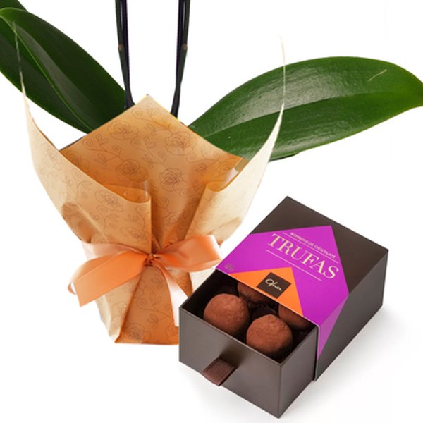 Mini Orquídea Rara lilás e Caixa Trufas Ofner 80g