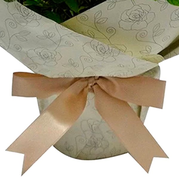 Mini Rosa Vermelha Plantada com Emoji Coraçãozinho