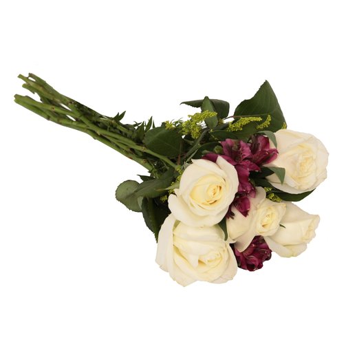 Buquê Encanto com 5 Rosas Brancas