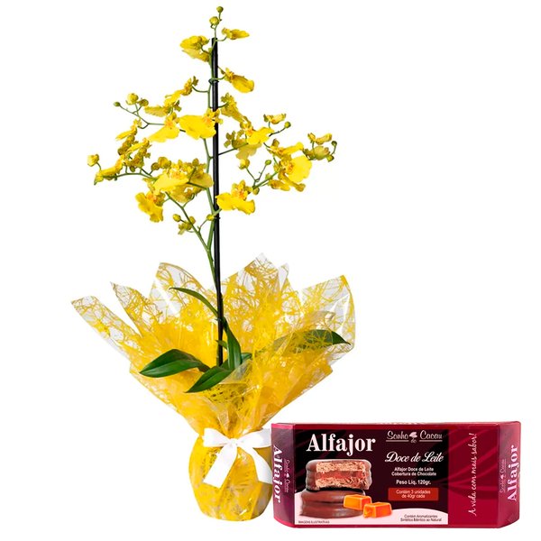 Mini Orquídea Chuva de Ouro e Alfajor Doce de Leite