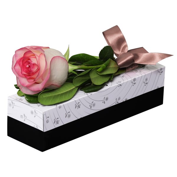 Sensacional Rosa Cor de Rosa