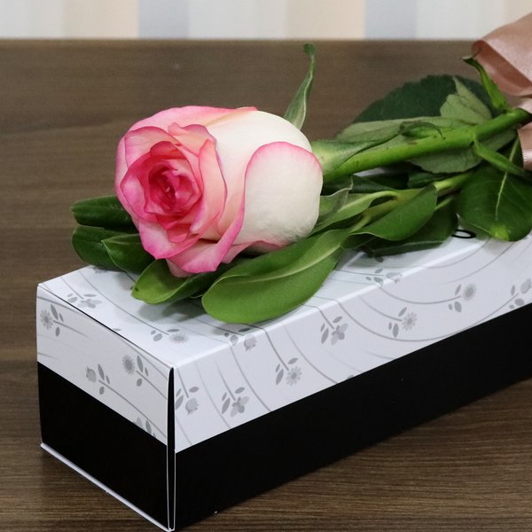 Sensacional Rosa Cor de Rosa
