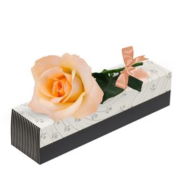 Imagem de Sensacional Rosa Champanhe