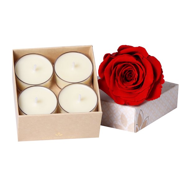 Rosa Encantada Vermelha e Velas Aromáticas Morango