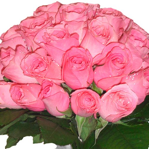 Buquê de Noiva Tradicional com  25 Rosas Cor de Rosa