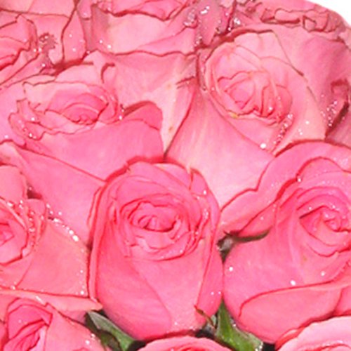 Buquê de Noiva Tradicional com  25 Rosas Cor de Rosa
