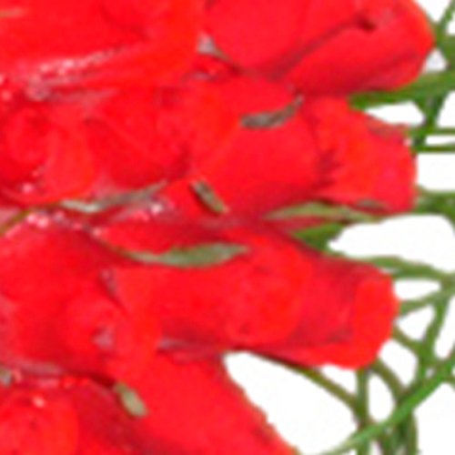 Buquê de Noiva com 25 Rosas Vermelhas