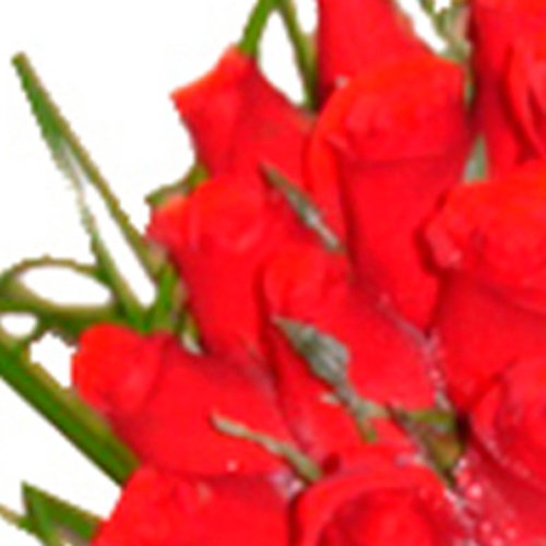 Buquê de Noiva com 25 Rosas Vermelhas