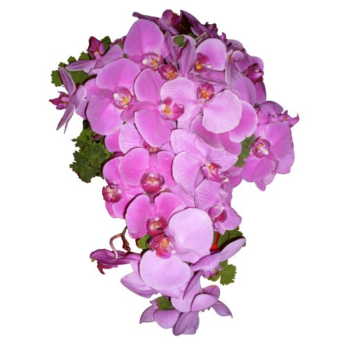 Buquê de Noiva Cascata com Orquídeas Pink | Giuliana Flores