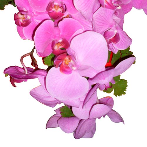 Buquê de Noiva Cascata com Orquídeas Pink