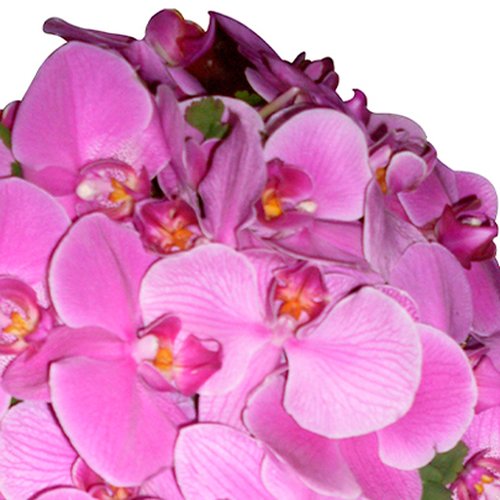 Buquê de Noiva Cascata com Orquídeas Pink
