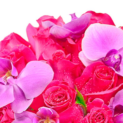 Buquê de Noiva com Rosas e Orquídeas Pink