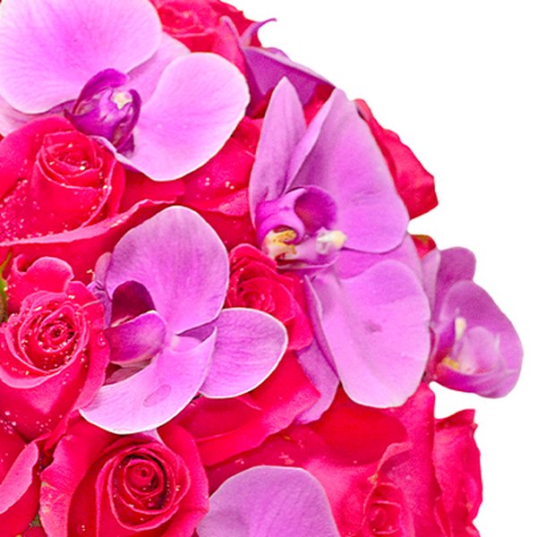 Buquê de Noiva com Rosas e Orquídeas Pink