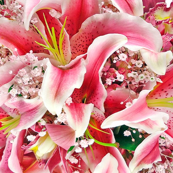 Buquê de Noiva com Lírios Cor de Rosa e Gypsophilas