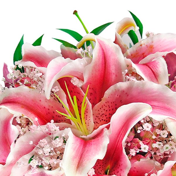 Buquê de Noiva com Lírios Cor de Rosa e Gypsophilas