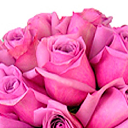 Buquê de Noiva com 30 Rosas Lilás