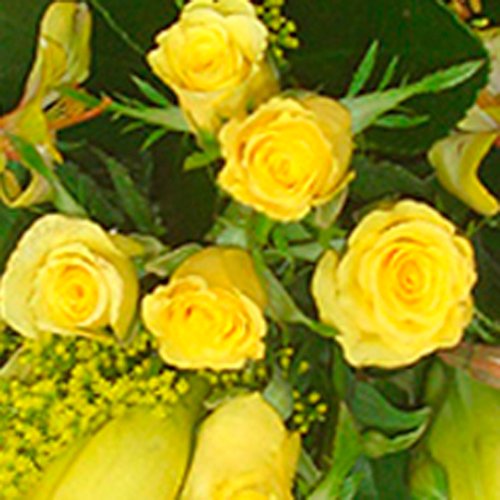 Buquê de Noiva Cascata com Mini Rosas e Lírios Amarelos
