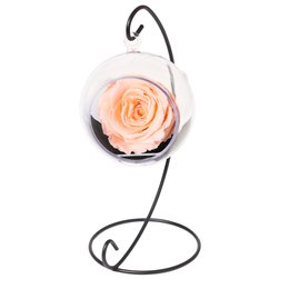 Imagem de Pêndulo de Rosa Encantada Champanhe