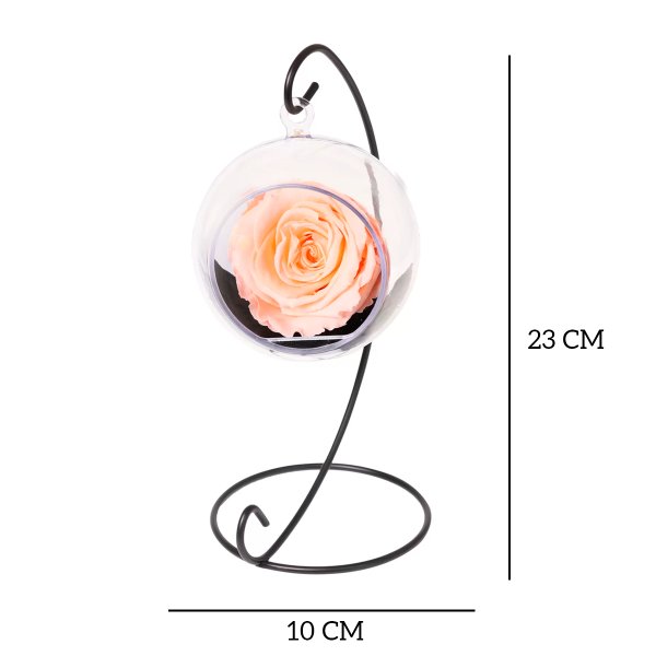 Pêndulo de Rosa Encantada Champanhe