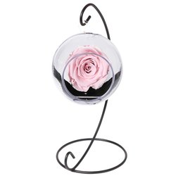 Imagem de Pêndulo de Rosa Encantada Cor de Rosa