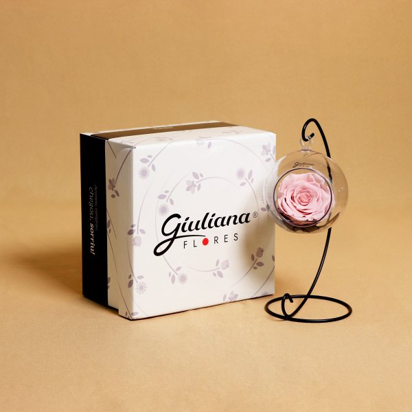 Pêndulo de Rosa Encantada Cor de Rosa