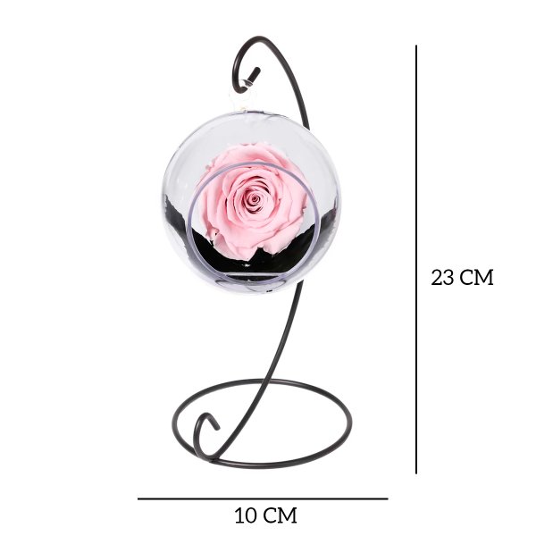 Pêndulo de Rosa Encantada Cor de Rosa