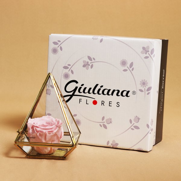 Pirâmide de Rosa Encantada  Cor de Rosa