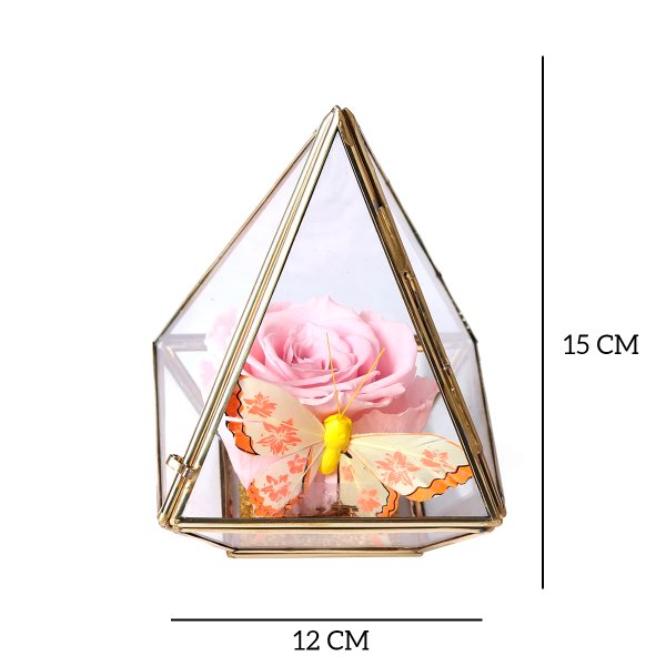 Pirâmide de Rosa Encantada  Cor de Rosa
