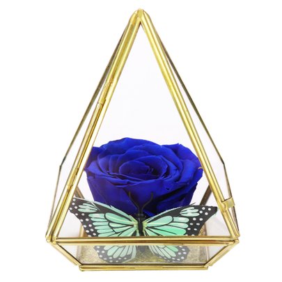 Pirâmide de Rosa Encantada Azul