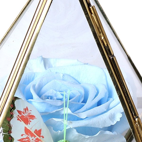 Pirâmide da Rosa Encantada Azul Clara