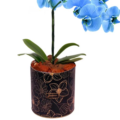 Orquídea Azul no Box Azulejo