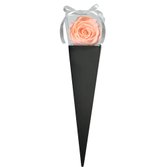 Cone Preto de Rosa Encantada Champanhe