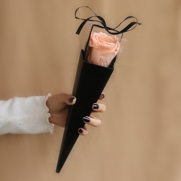Cone Preto de Rosa Encantada Champanhe