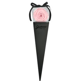 Imagem de Cone Preto de Rosa Encantada Cor de Rosa