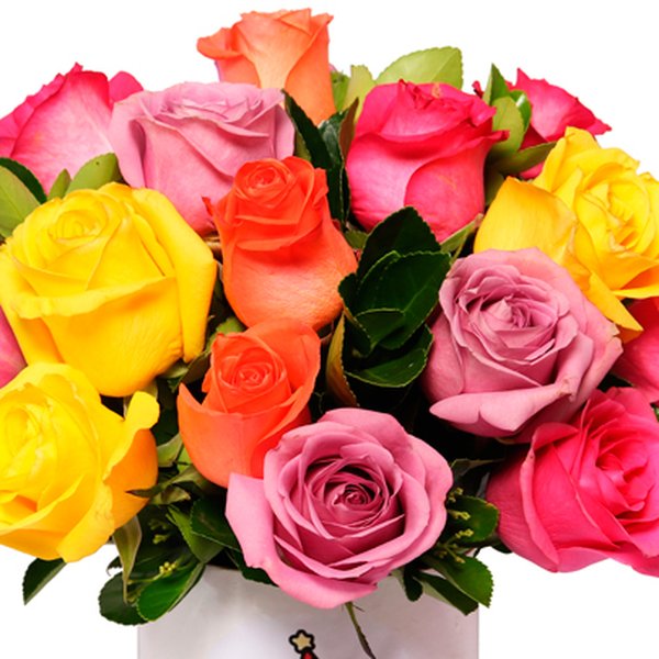 Rosas no Box Ilustrado Parabéns