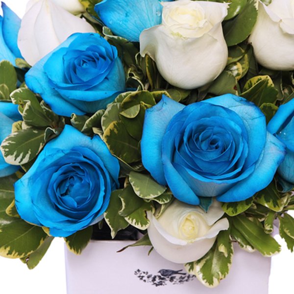 Mix Rosas e Balões no Box Azulejo