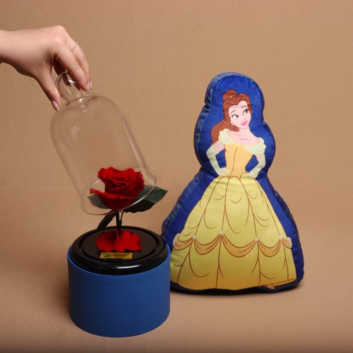 Mini Rosa Encantada e Kit A Bela e A Fera - Zona Criativa