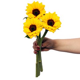 Imagem de Três Girassóis Personalize