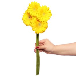 Imagem de Gérberas Amarelas de Corte Personalize - 4 Unid.