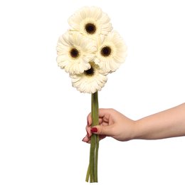 Imagem de Gérberas Brancas de Corte Personalize - 4 Unid.