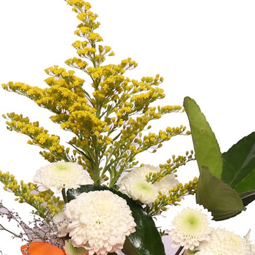 Mix de Flores Silvestres Personalize