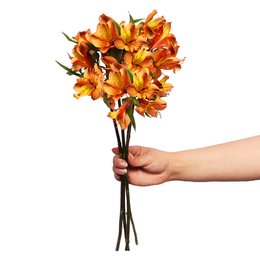 Imagem de Astromélias Laranjas Personalize -  4 Galhos