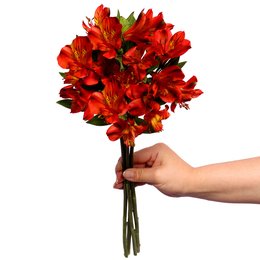 Imagem de Astromélias Vermelhas Personalize -  4 Galhos