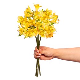 Imagem de Astromélias Amarelas Personalize - 4 Galhos