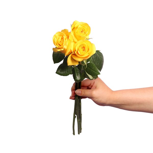 Três Rosas Nacionais Amarelas Personalize