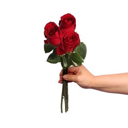 Imagem de Três Rosas Nacionais Vermelhas Personalize